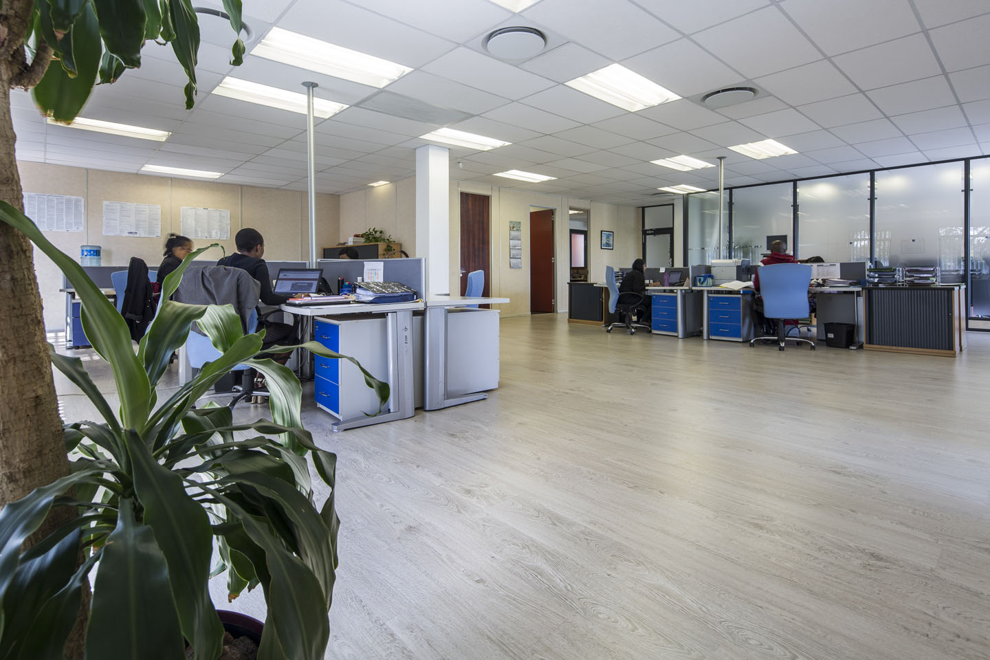 Supreme-Classic-Oak-Office_6
